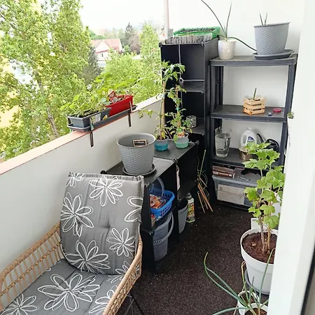 Gemuetliches Mit Balkon Und Stadtblick Coswig (Saxony)